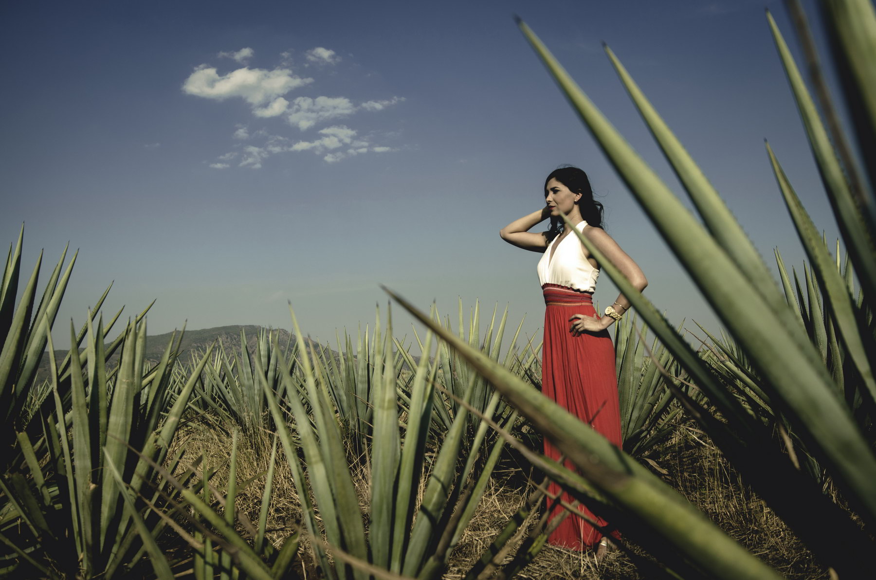 Ruta Del Tequila Jose Cuervo Y Cantaritos El Guero Vive Tequila